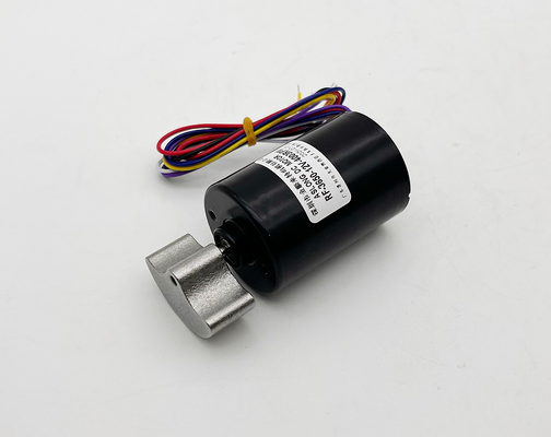 12v 4000rpm borstelloze elektrische motor hoge snelheid BLDC 3650 OEM ODM